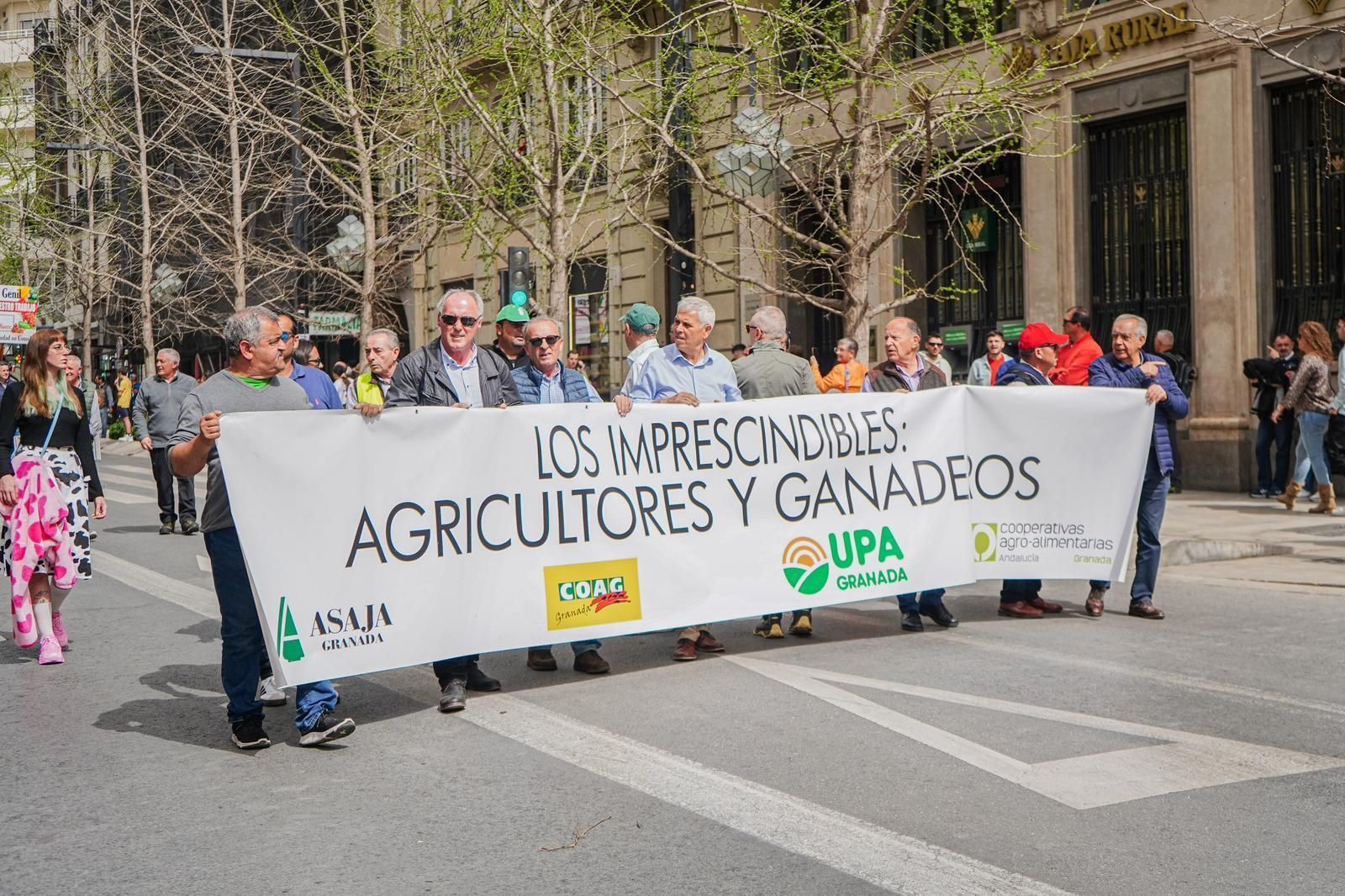 Las mejores fotos de la tractorada de Granada de este Viernes de Dolores