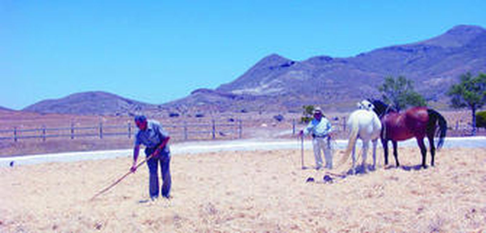 La finca 'El Romeral' es muy amplia y abarca desde Cabo de Gata hasta San José.
