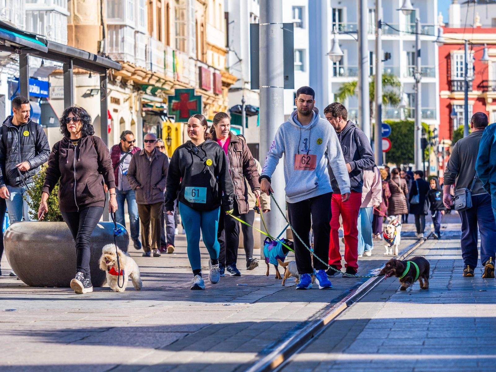 Las imágenes de San Antón 2025 en San Fernando