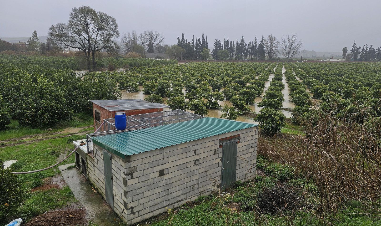 Fotos del temporal de lluvia y viento por la borrasca Kristin en Jimena de la Frontera, San Pablo de Buceite y San Martín del Tesorillo