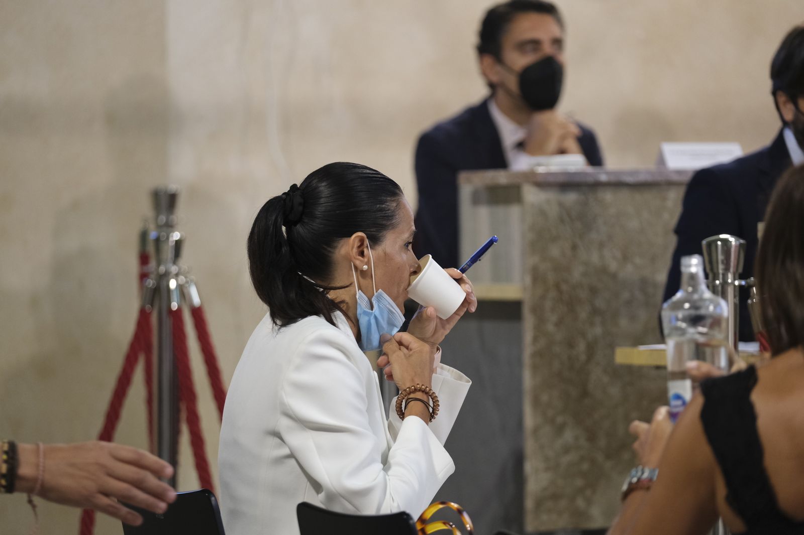 Fotogalería pleno ordinario Ayuntamiento de Almería.