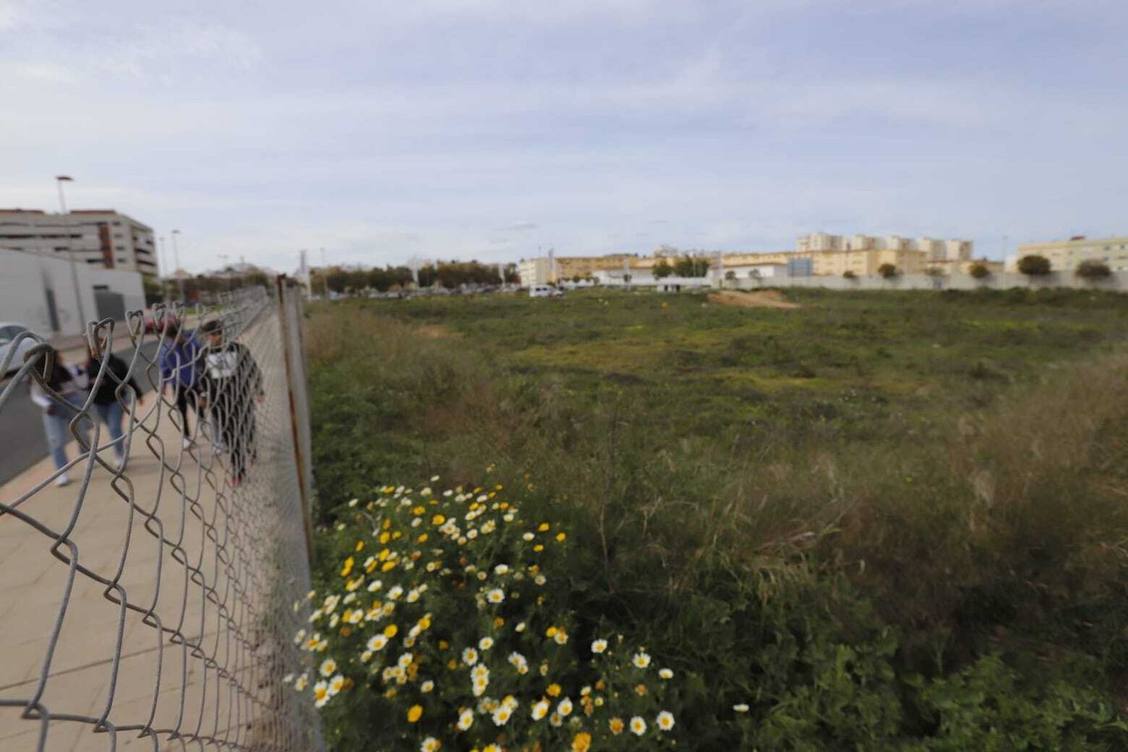 Solar donde se van a construir las viviendas unifamiliares.