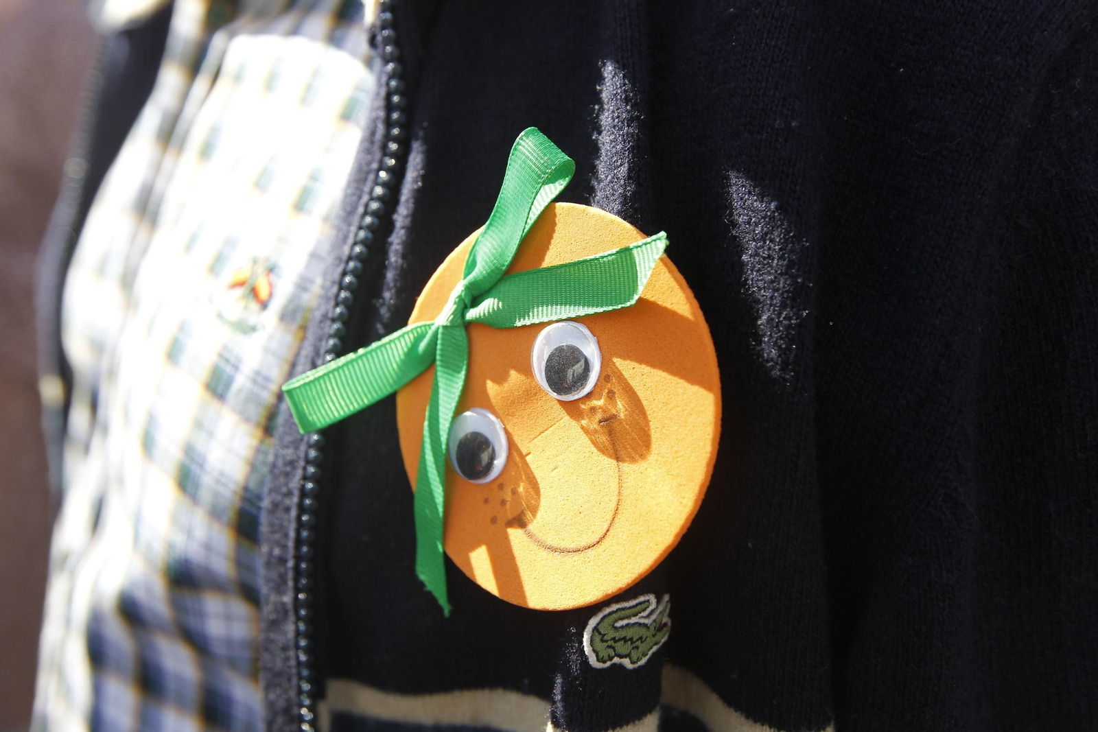 Fotogalería Día de la Naranja en Gádor