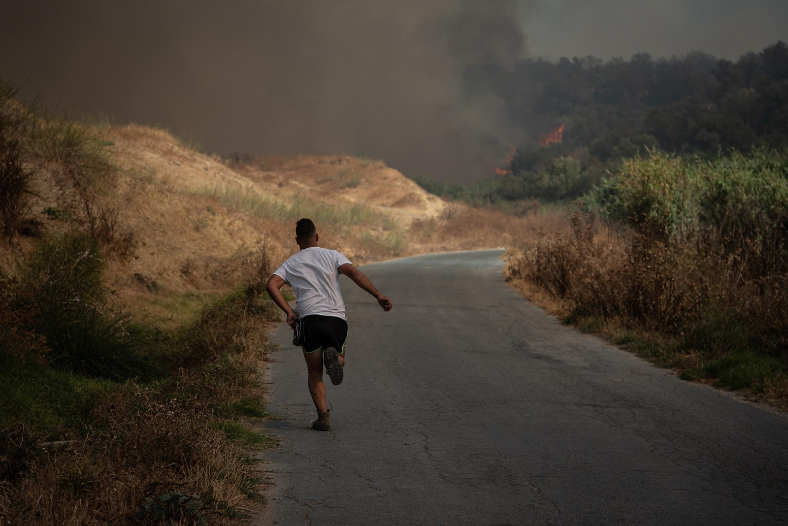 El incendio de Lucena del Puerto en imágenes