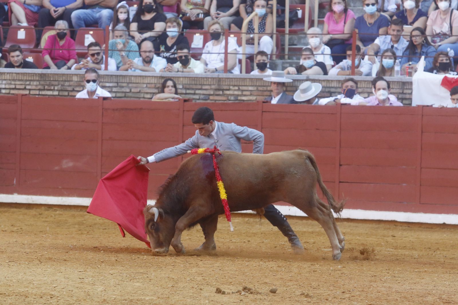 La becerrada del Círculo Taurino de Córdoba en el Coso de los Califas, en fotos