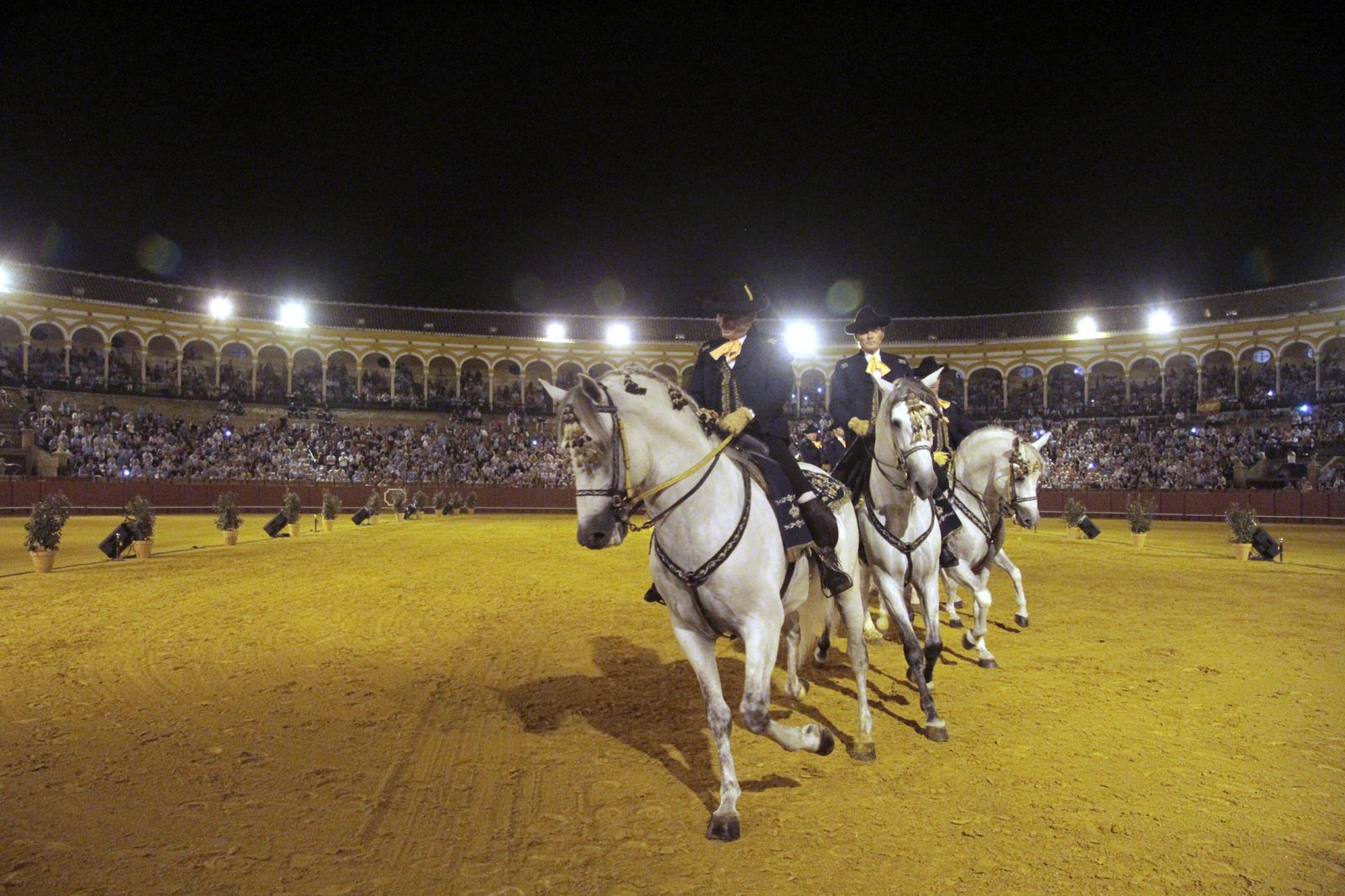 El espectáculo 'Cómo bailan los caballos andaluces', en imágenes