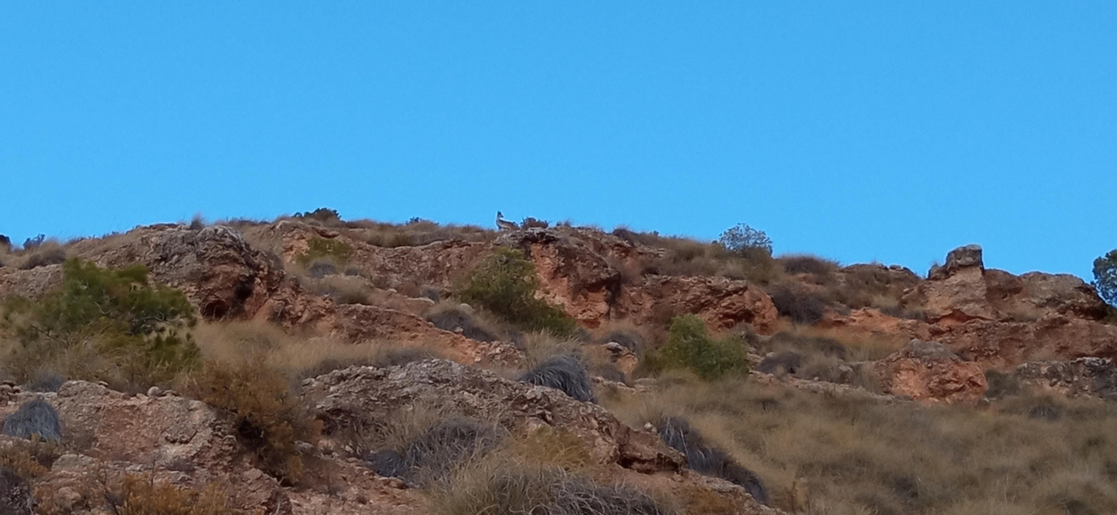 Las imágenes de la ruta Hinojares - Cuenca - Hinojares