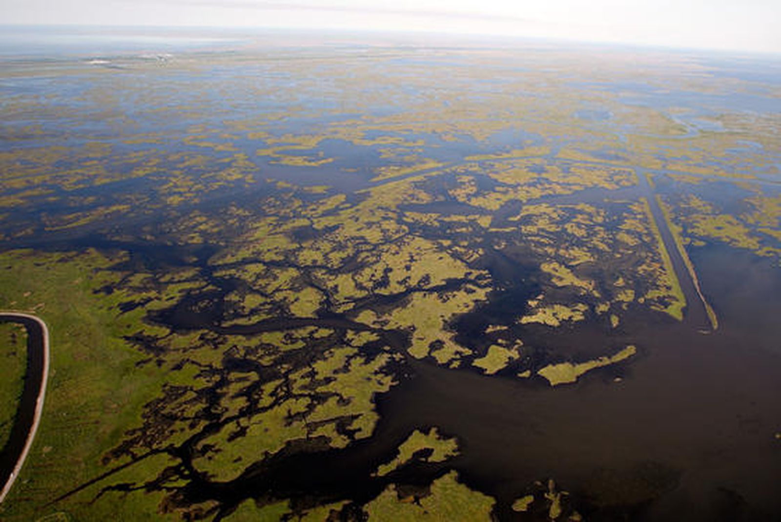 El petróleo vertido en el Golfo de México por una plataforma petrolífera amenaza las costas estadounidenses de Luisiana.

Foto: Chris Graythen/ Reuters AFP