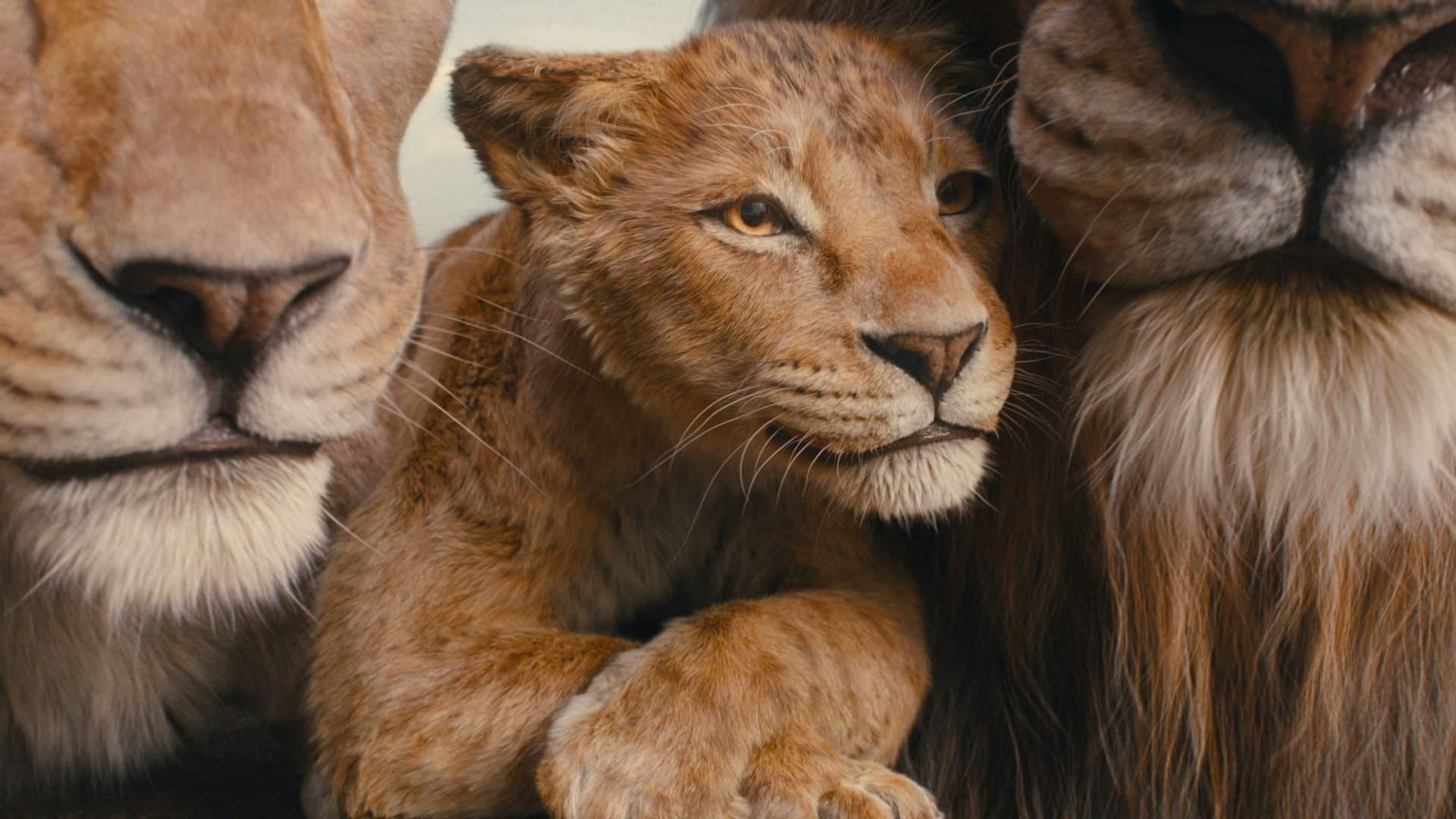 'Mufasa', la precuela de 'El Rey León', es una de las películas familiares elegidas en la cartelera de Cineverano 2025.