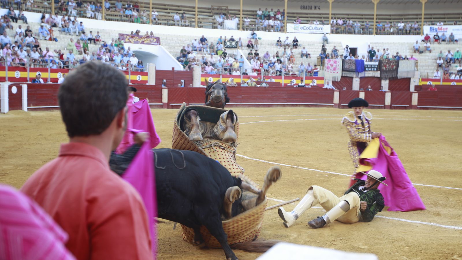 Uno de los novillos derriba al picador y a su caballo.