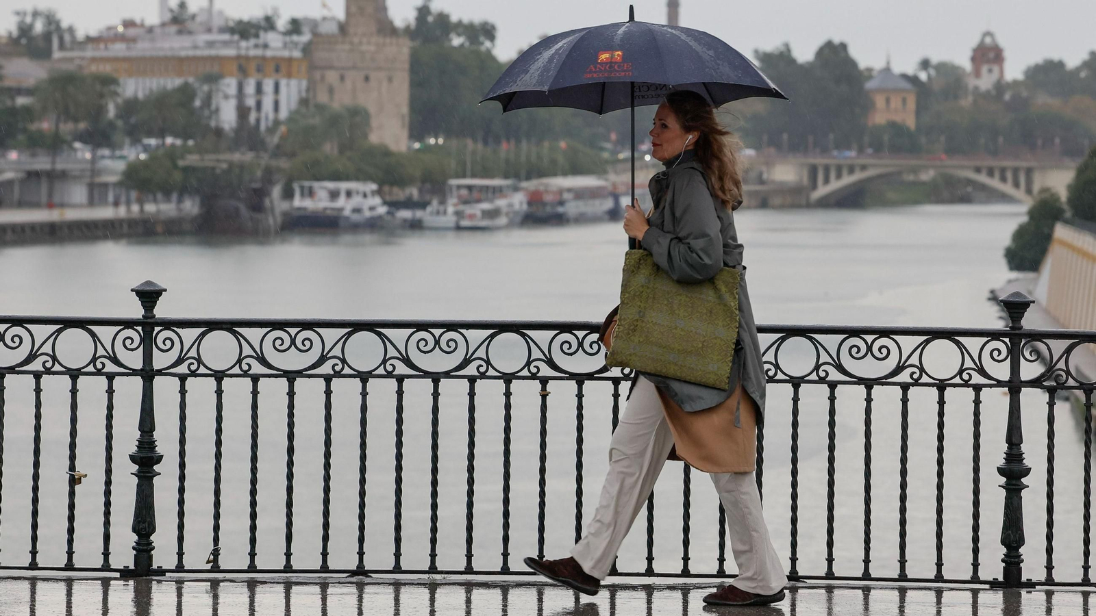 Una mujer resguardada por un paraguas camina por Sevilla