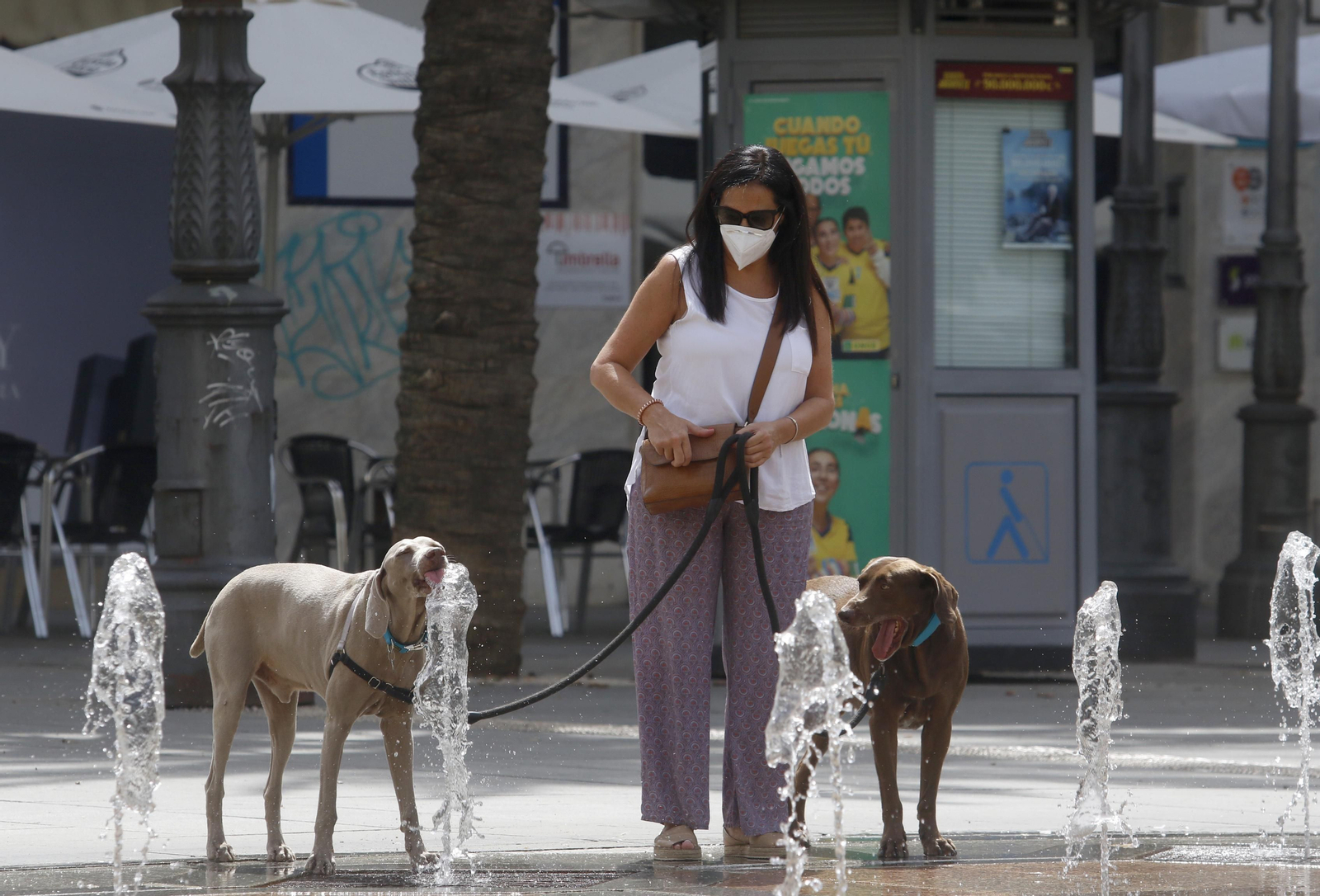Córdoba se asfixia con las temperaturas máximas de España, en imágenes