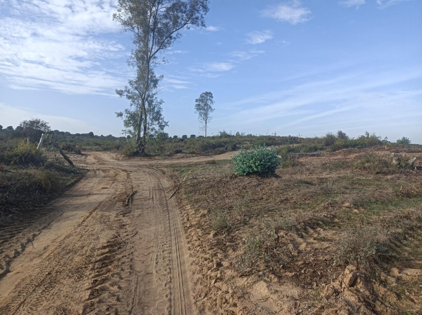 Fotos del Camino de San Diego en Almensilla