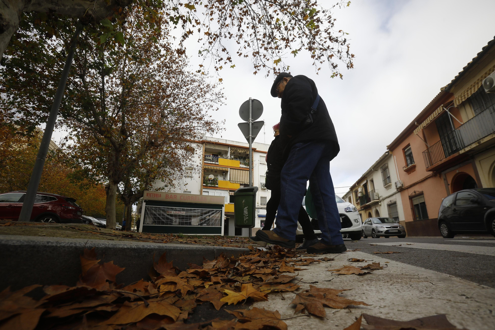 Imágenes de algunos de los pasos de peatones de Córdoba en los que se mejorará la accesibilidad