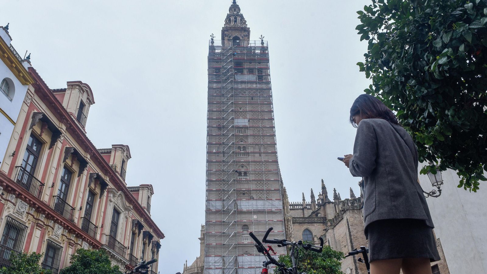 El andamio que recubre la cara norte de la Giralda.