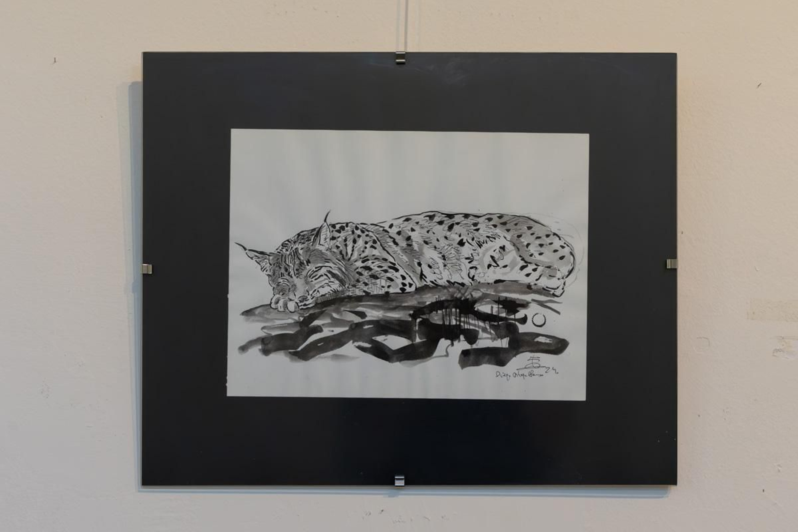 Exposición Los pinceles del lince ibérico, en imágenes