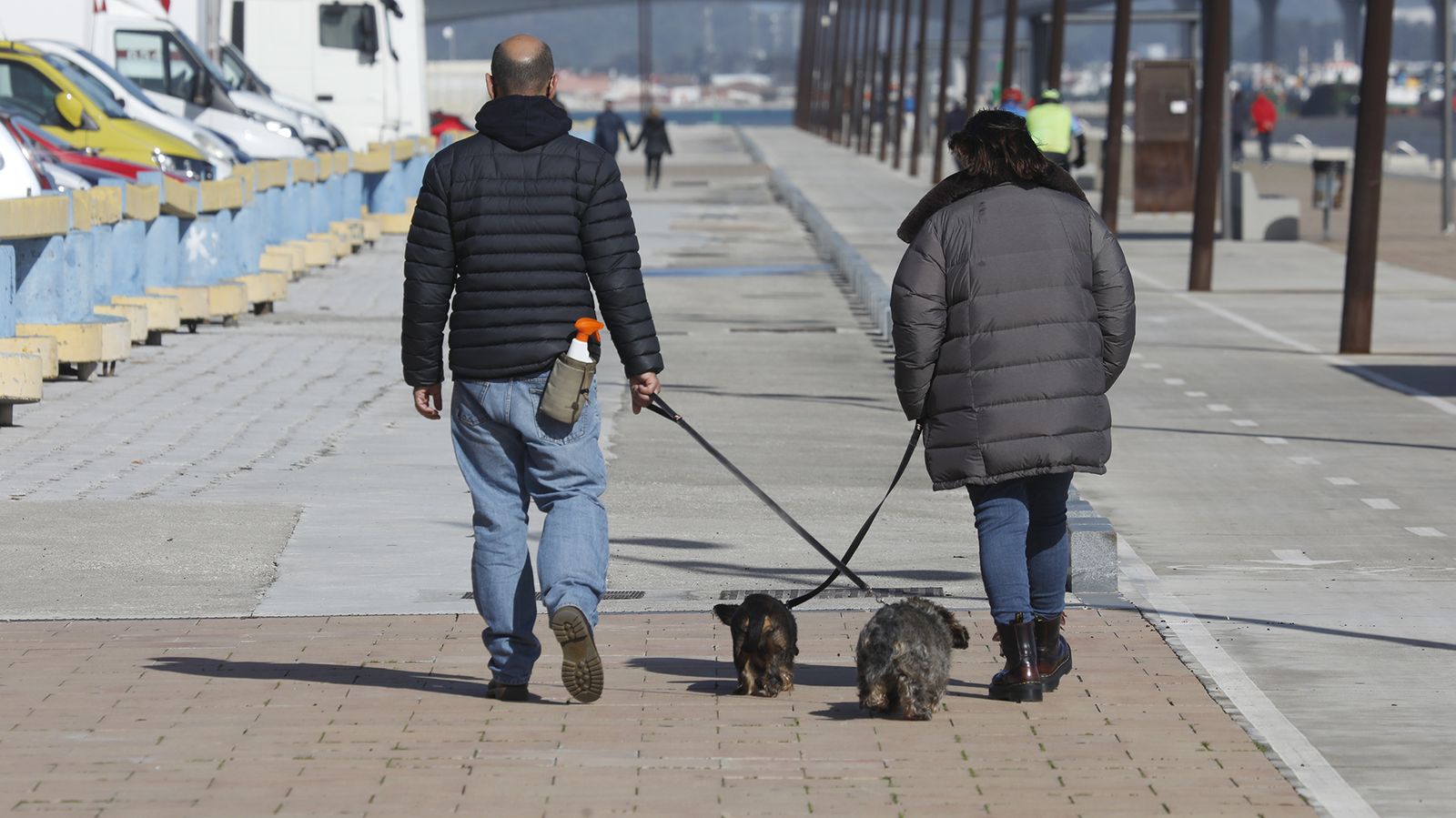 Las mejores fotos de hoy , viernes 22 de enero, en Algeciras