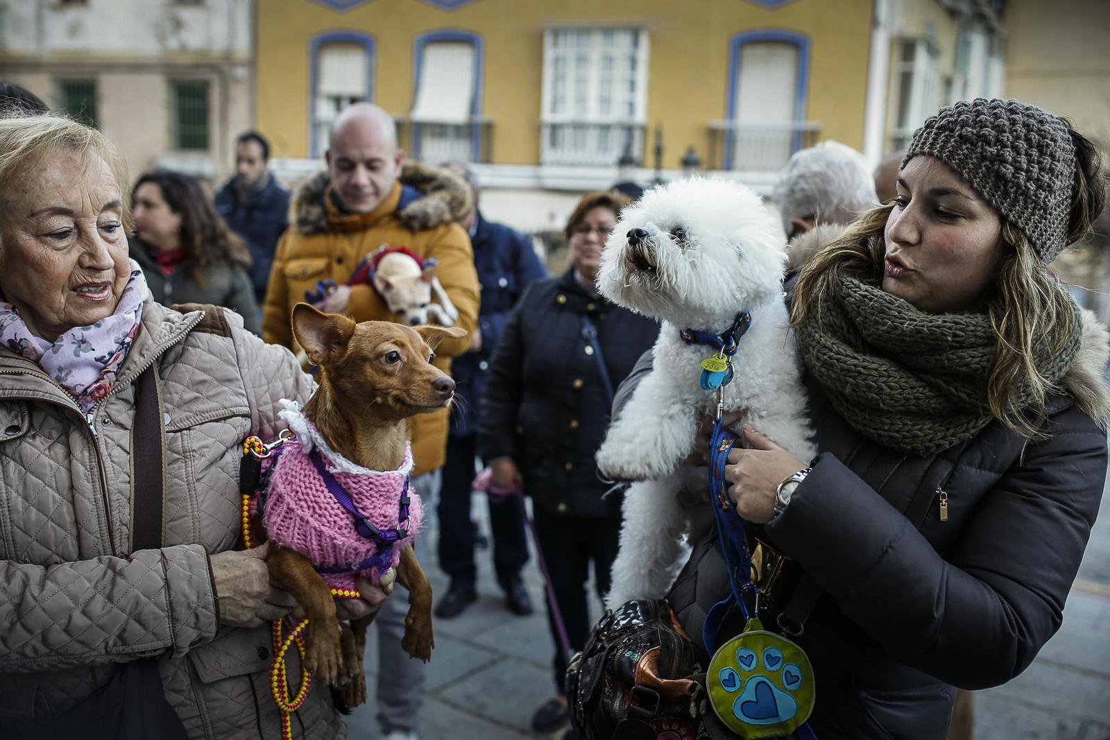 Bendición de animales en Santo Domingo
