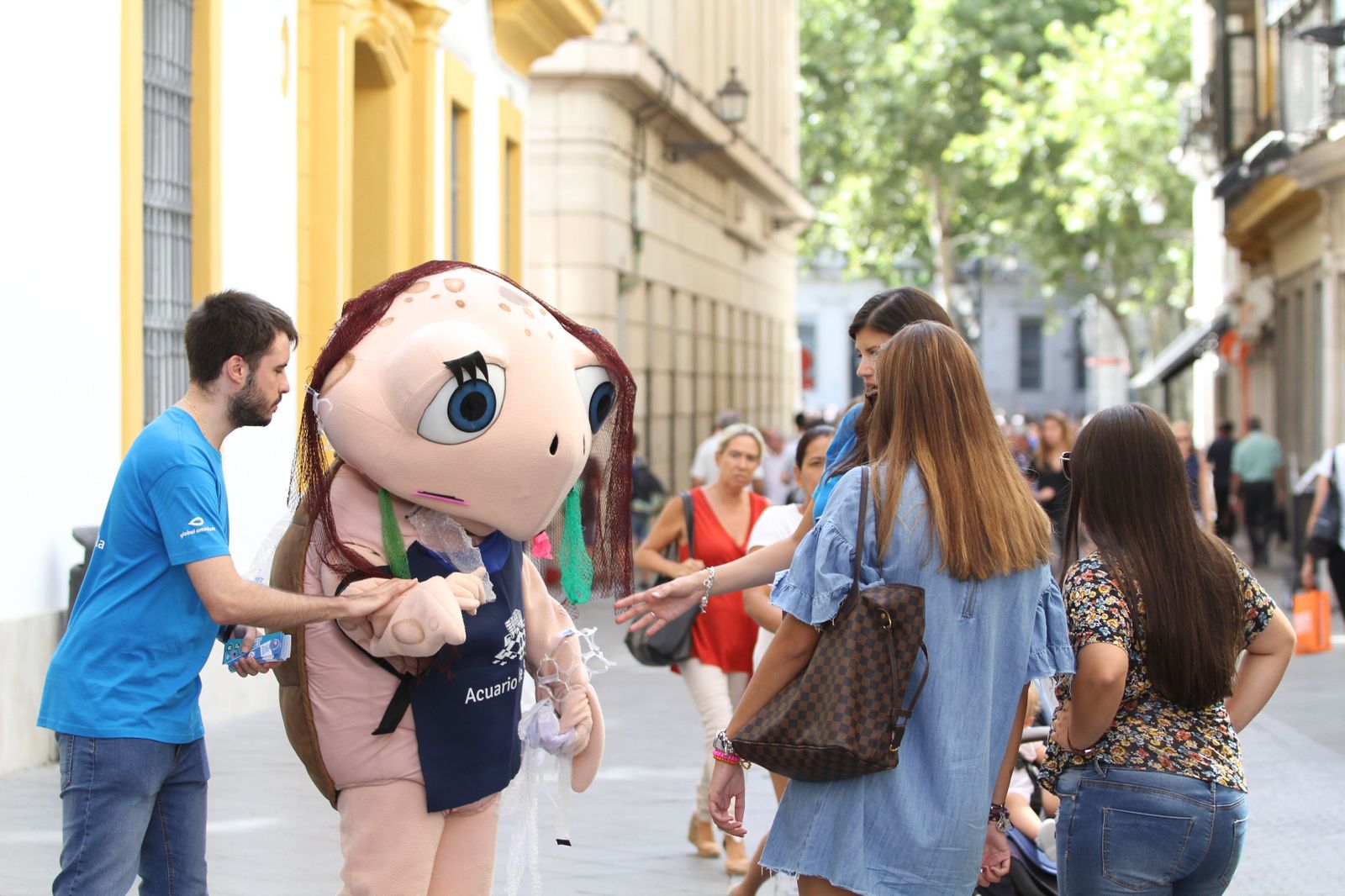La tortuga Chelo, en Plaza Nueva.