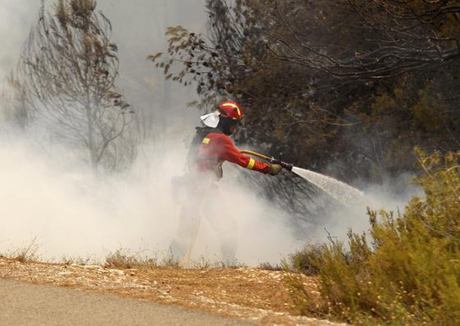 El fuego arrasa miles de hectáreas en comarcas del interior de la provincia de Valencia.

Foto: Reuters