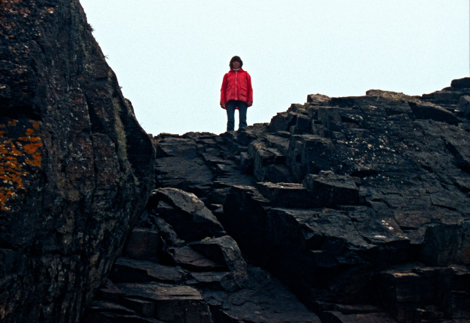 El liquen de los sueños