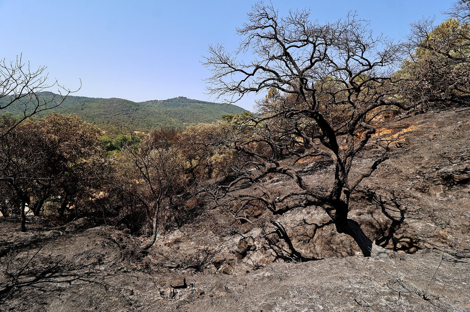 Imágenes de los vecinos de Los Romeros ya en sus casas tras el incendio