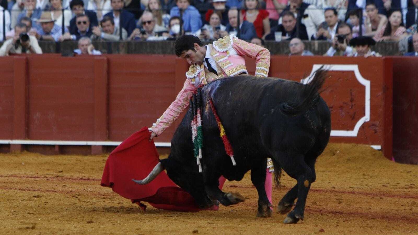 Cayetano en la faena del quinto toro.