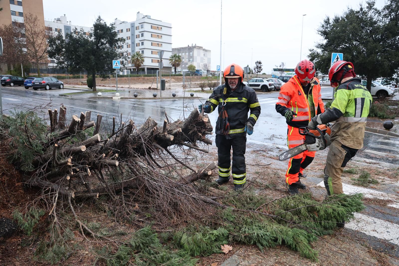 Fotografías de los destrozos de la borrasca Kristin en Huelva este miércoles
