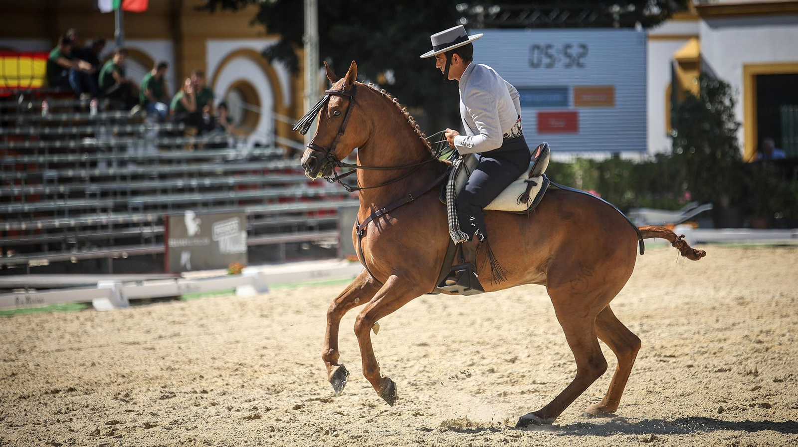 Imágenes de la XVI Copa de S.M. el Rey de Doma Vaquera
