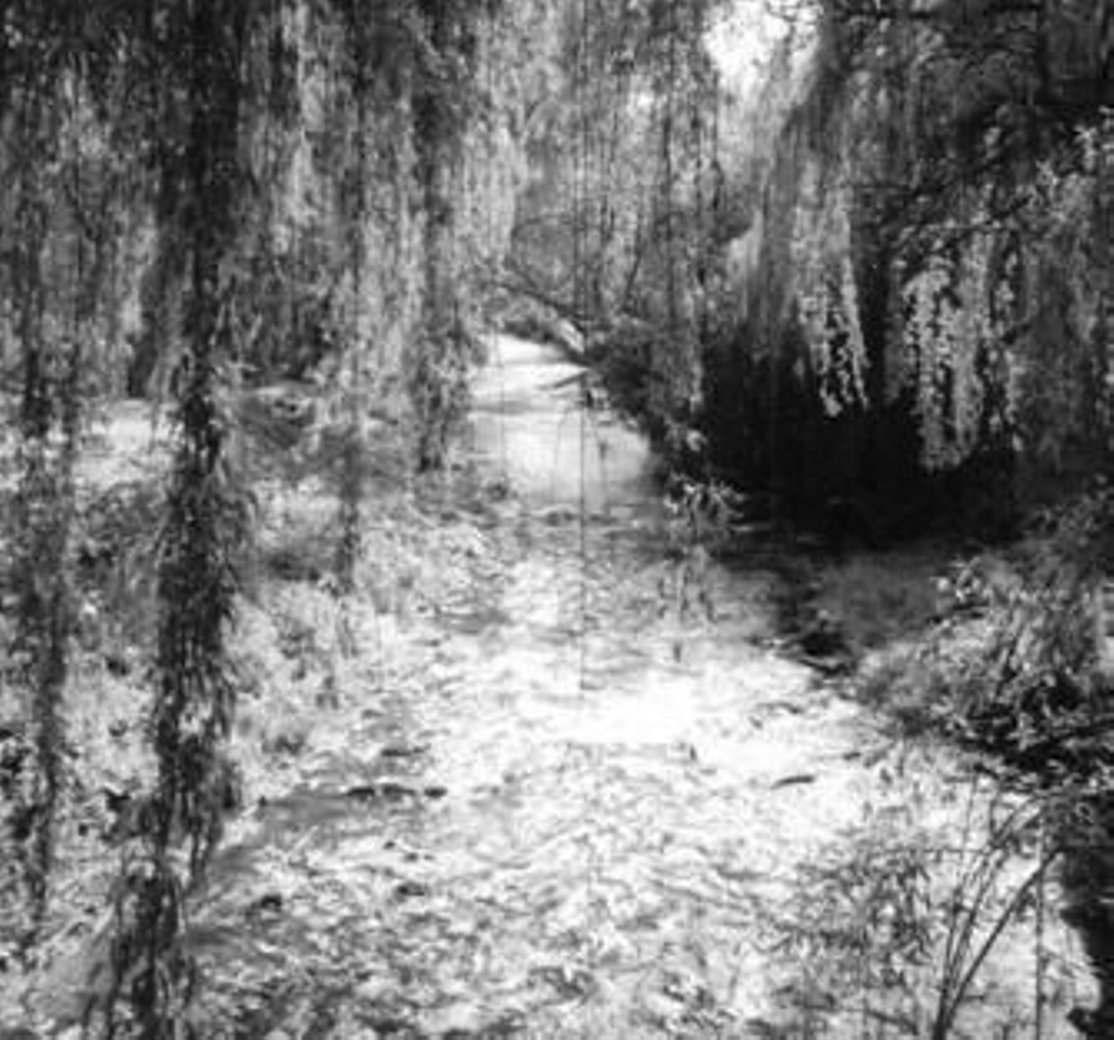 Vista del recorrido del río Majaceite.