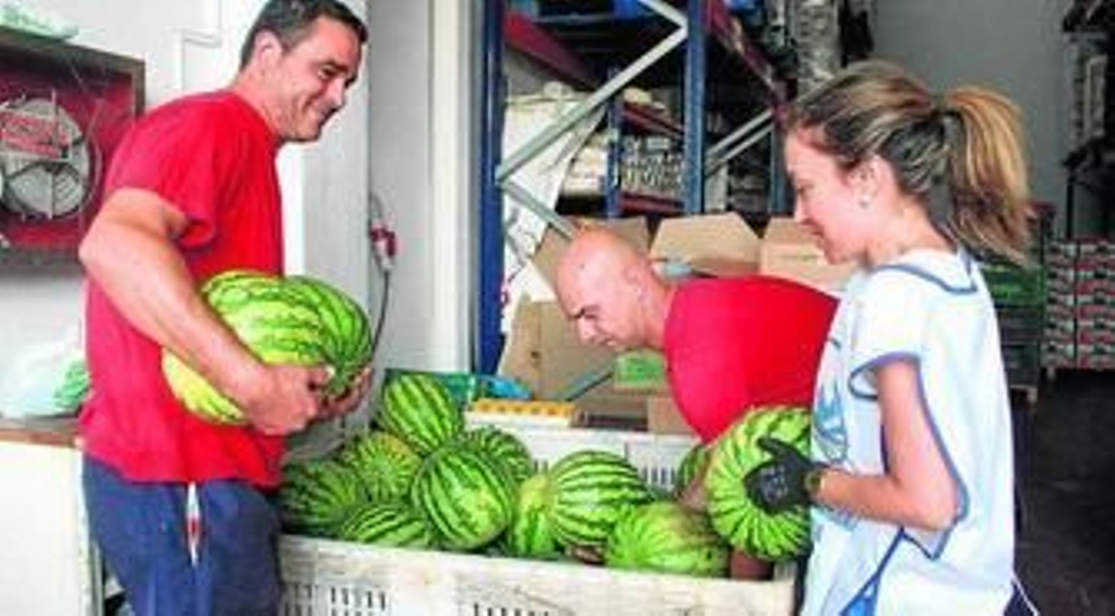 Sofía Antuña, voluntaria del Banco de Alimentos, trabaja junto a dos compañeros.