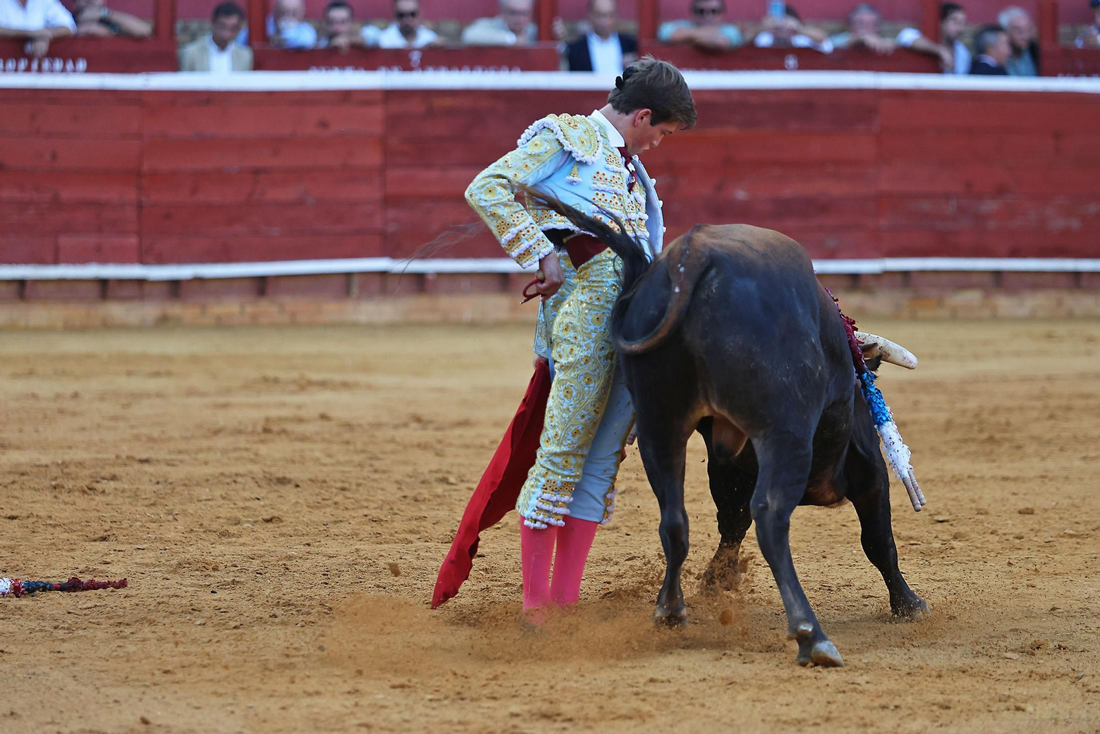 Toros La Merced 2024 Novillada con picadores(