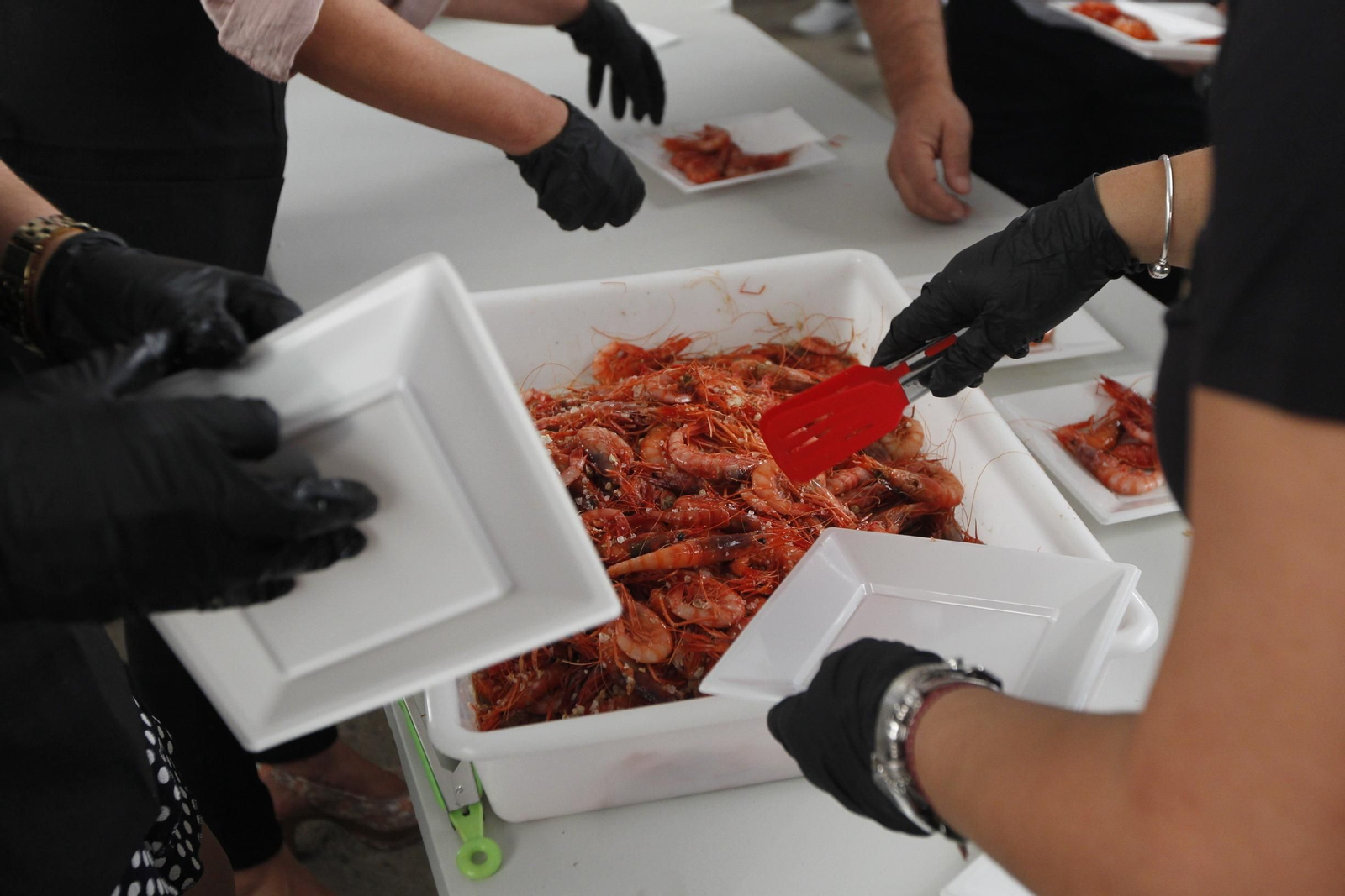 Fotogalería Feria de la Gamba Roja de Garrucha