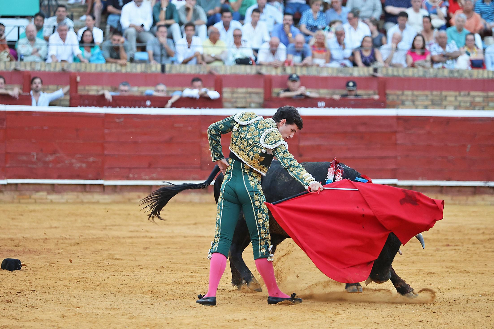 Toros La Merced 2024 Novillada con picadores(