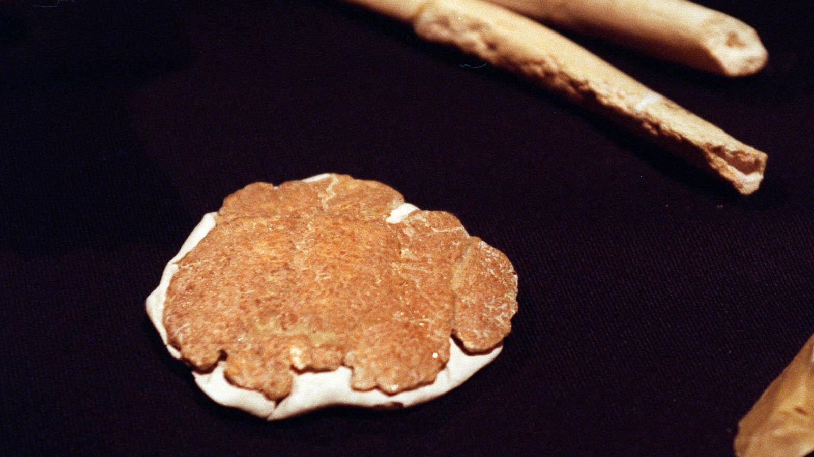 El trozo de cráneo.