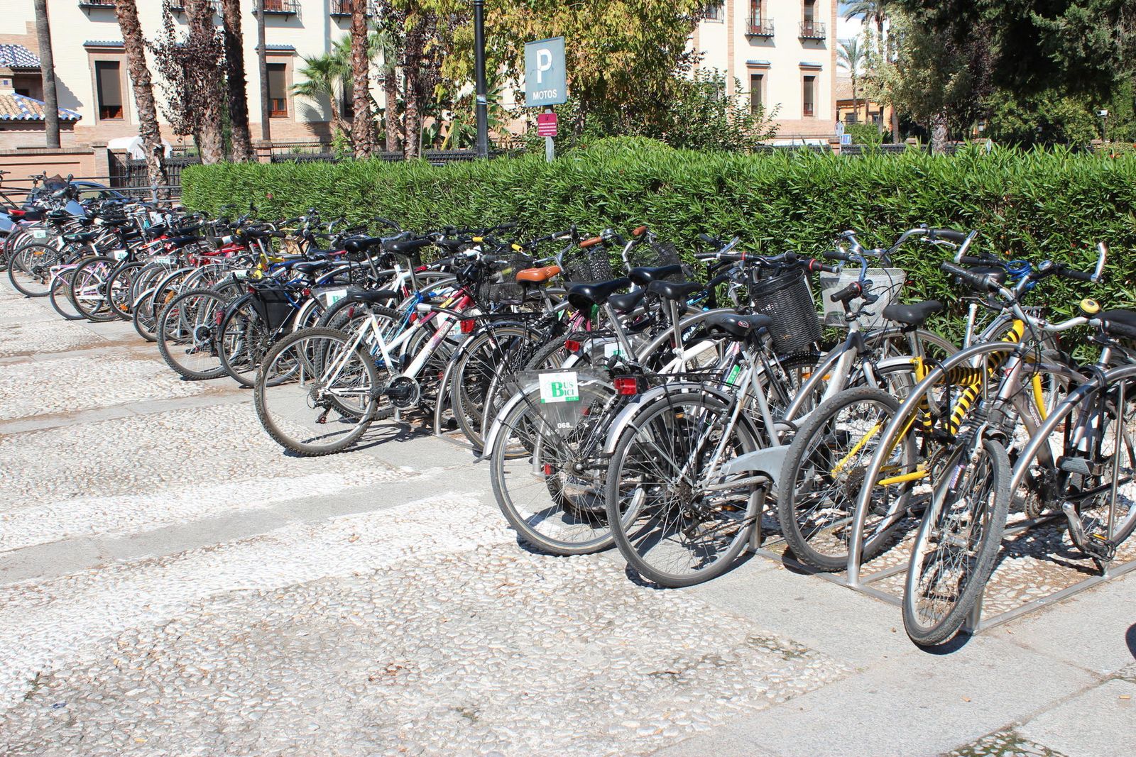 Bicicletas aparcadas frente al Rectorado de la Universidad.