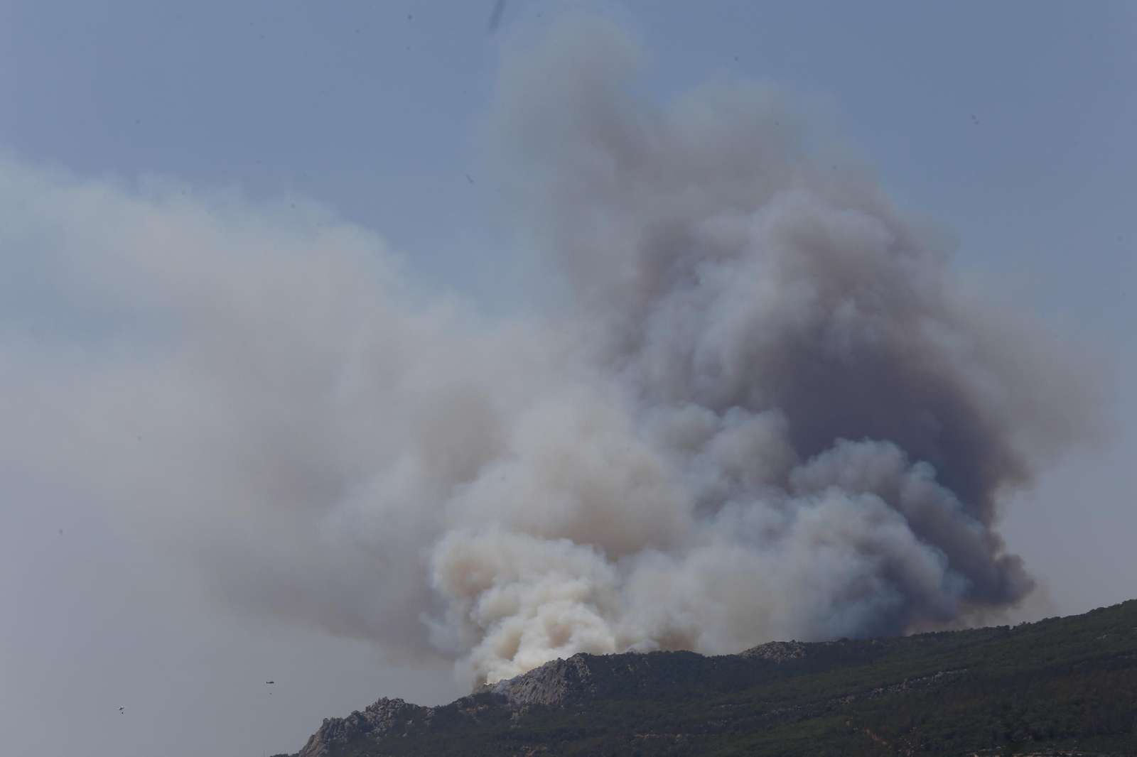 Imágenes del incendio de Tarifa, el segundo en menos de una semana