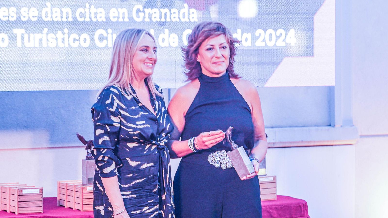 La alcaldesa de Granada, Marifrán Carazo, entrega un premio a Radio Televisión Española (RTVE)