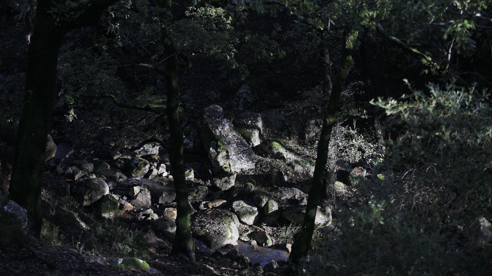 Sendero de la finca Murta en Los Barrios