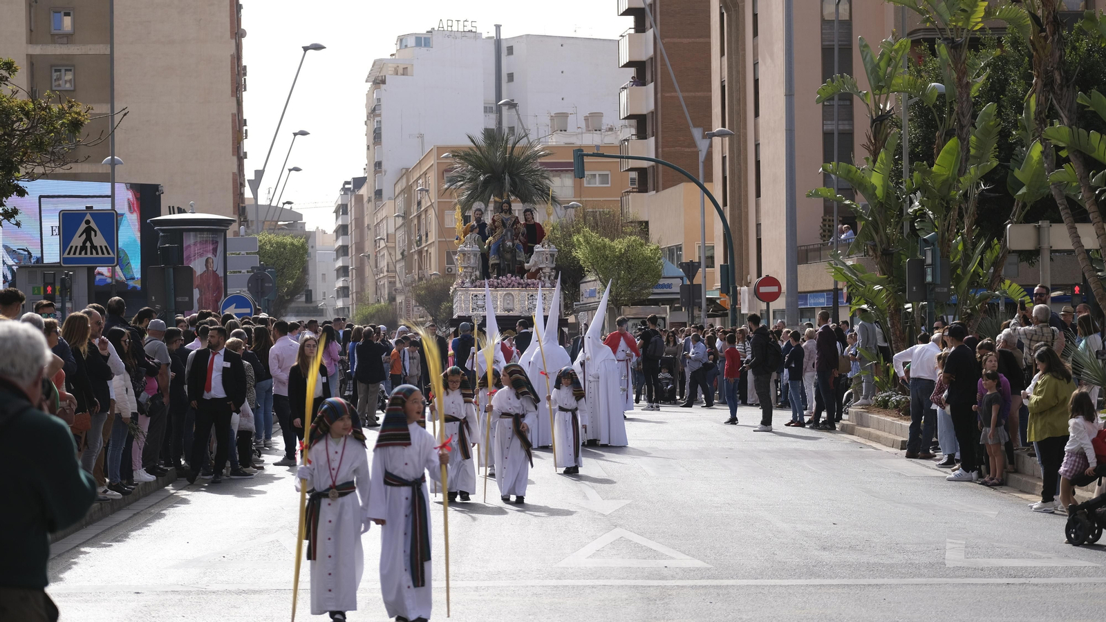 Imágenes de la Procesión de la Borriquita de Almería