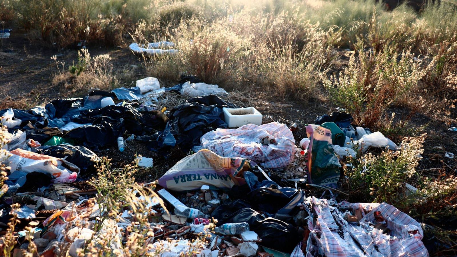 Caminos antigua Azulejera sobre Parque Nueva Granada