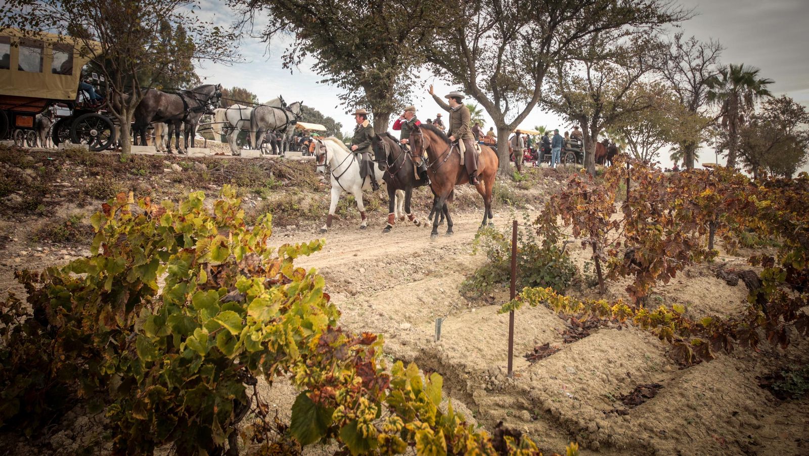 Búscate en la III Ruta Viñas de Jerez de Enganches