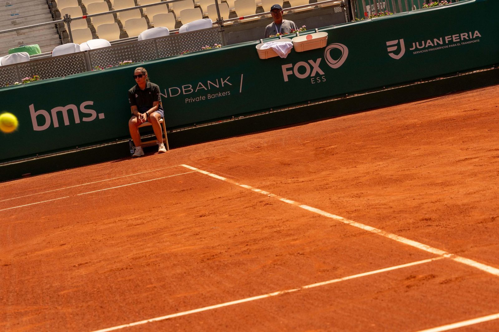 Buse - Taberner (8).jpg