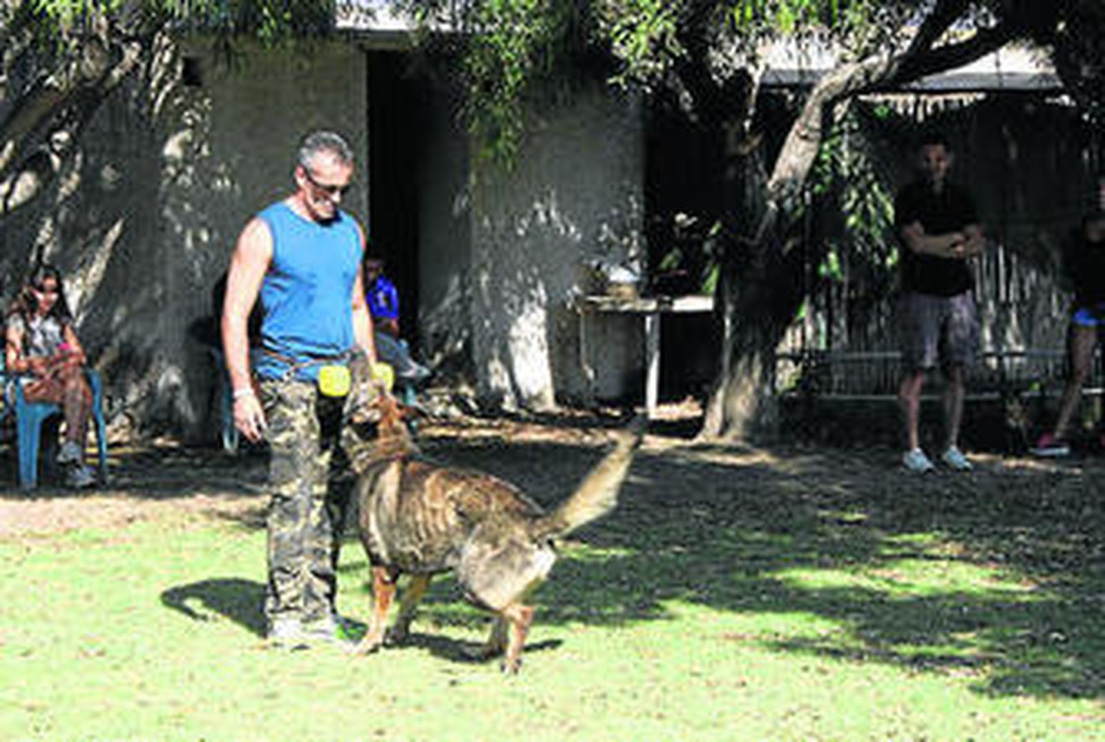Niños conocen los secretos de cómo 'mirar' a un perro en una jornada