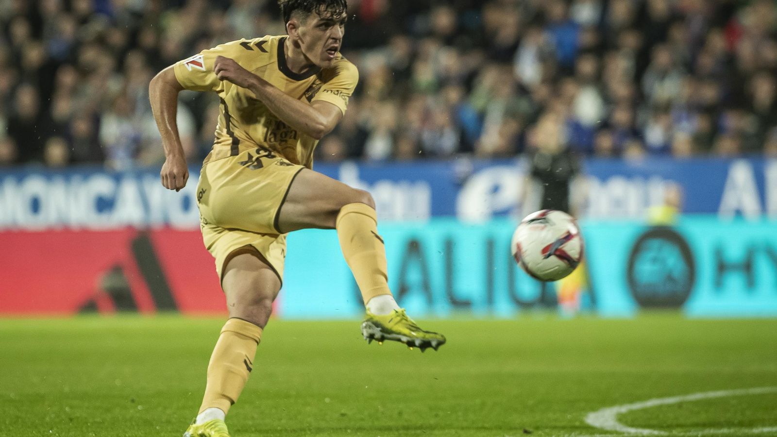 El Zaragoza-Málaga CF, en fotos