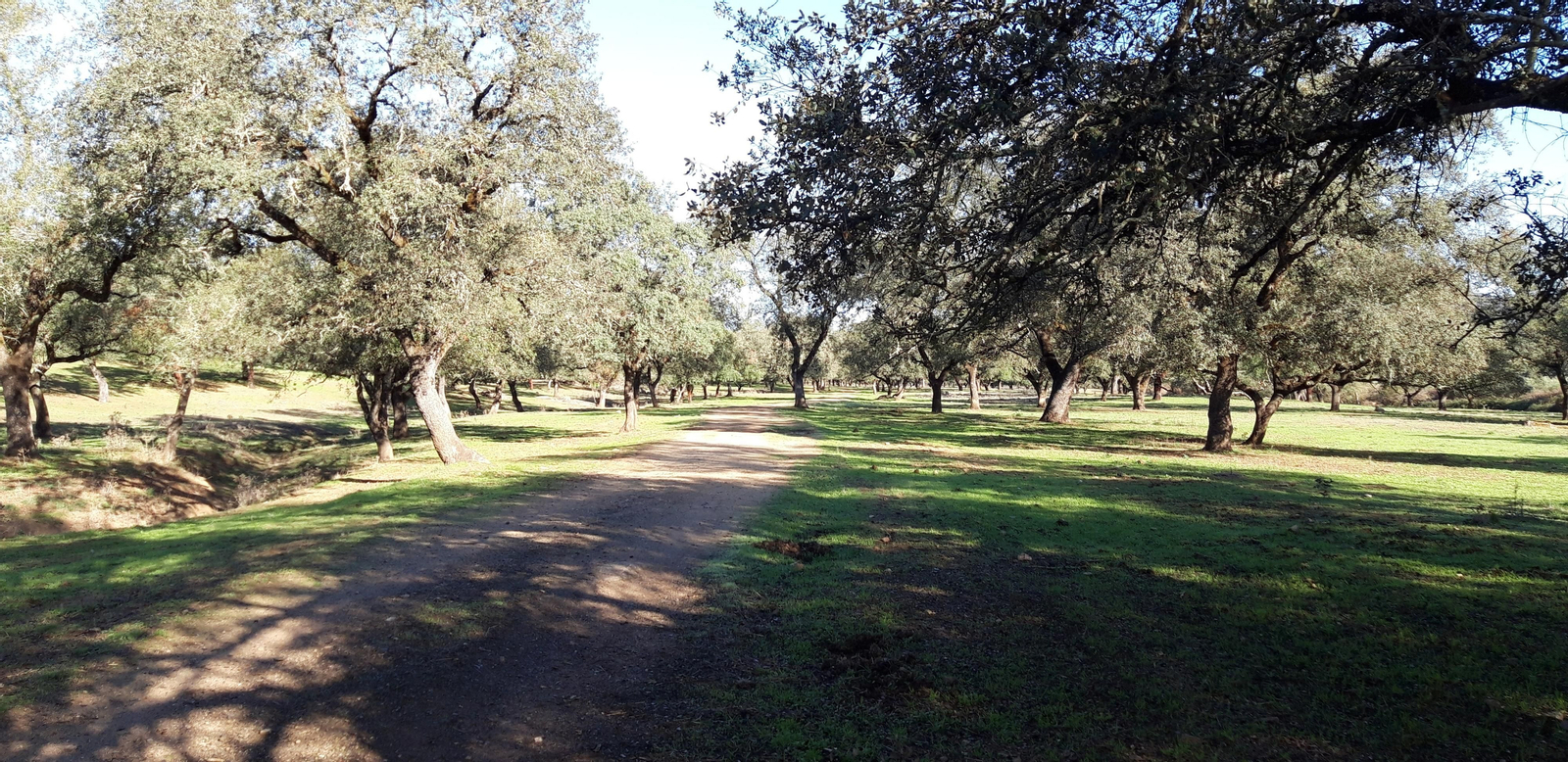 Las fotos de las ruta del Arroyo de las Cañas