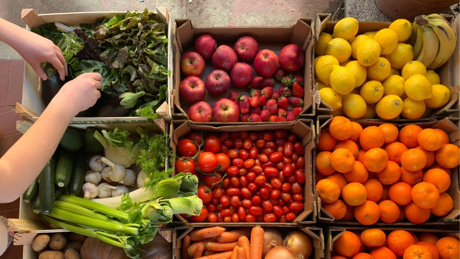 Cajas con frutas y verduras.