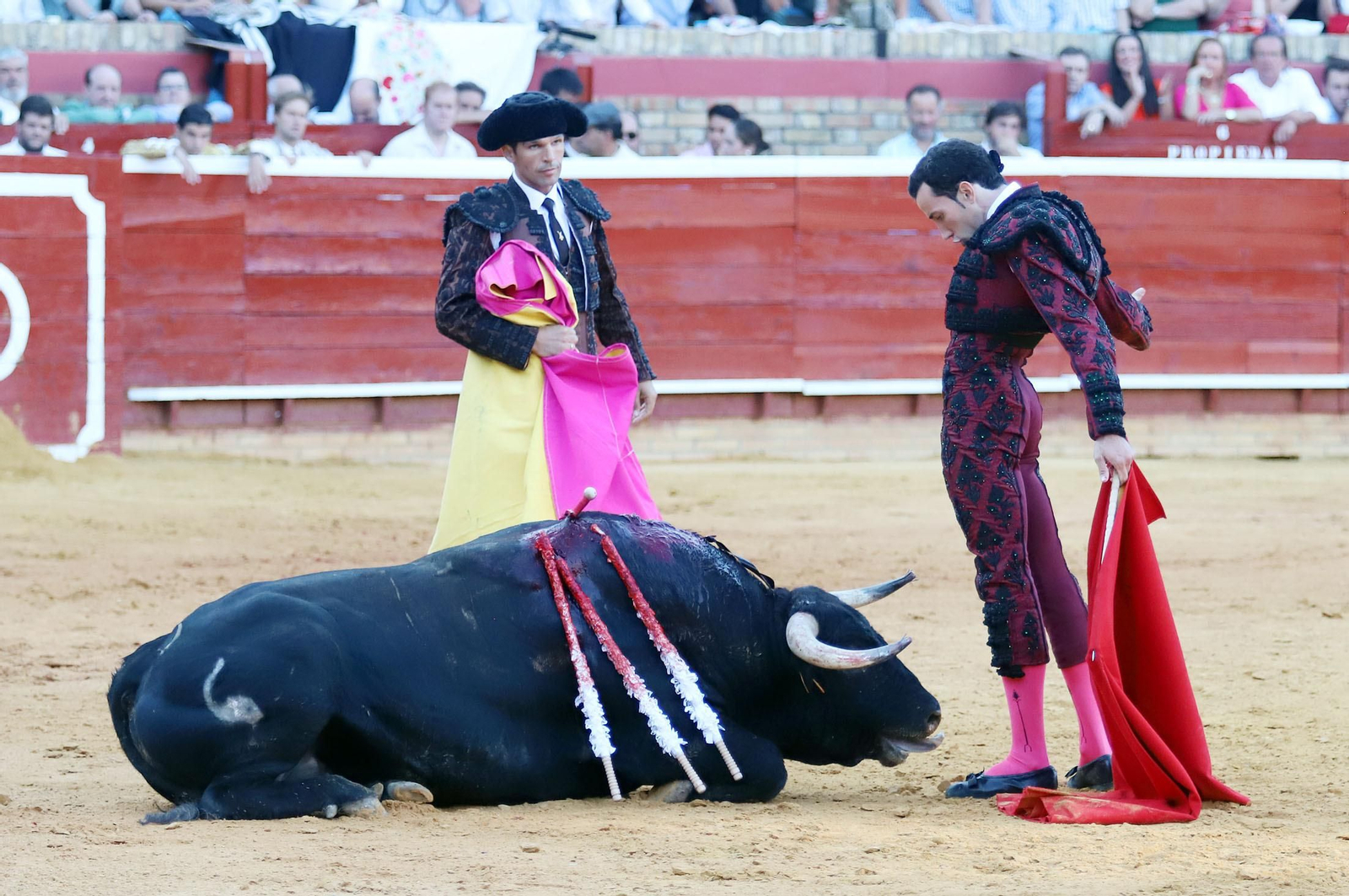 Imágenes de Morante de la Puebla, David de Miranda y Pablo Aguado en la Plaza de Toros La Merced