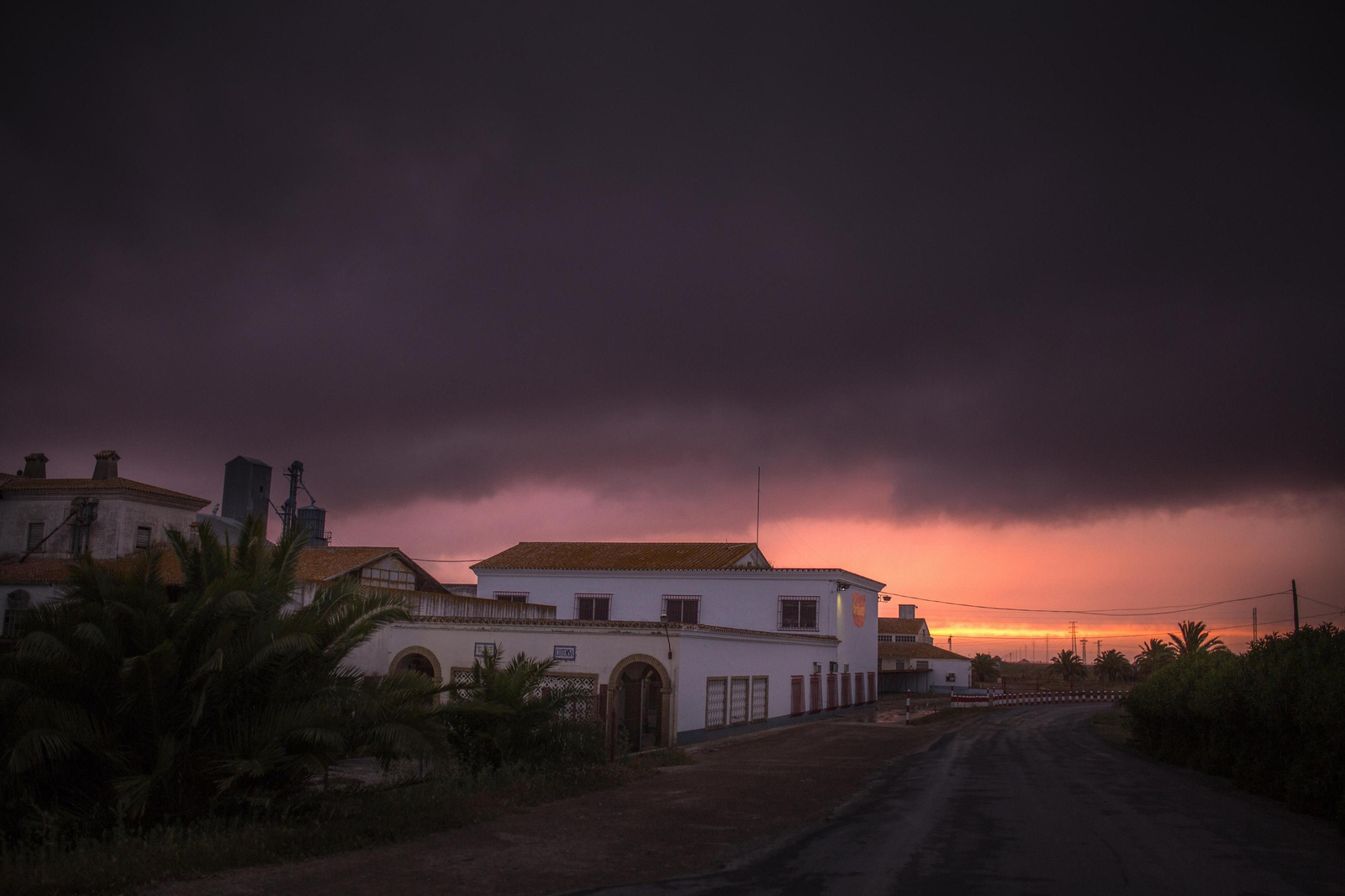 Marismas del Guadalquivir, un paisaje de cine