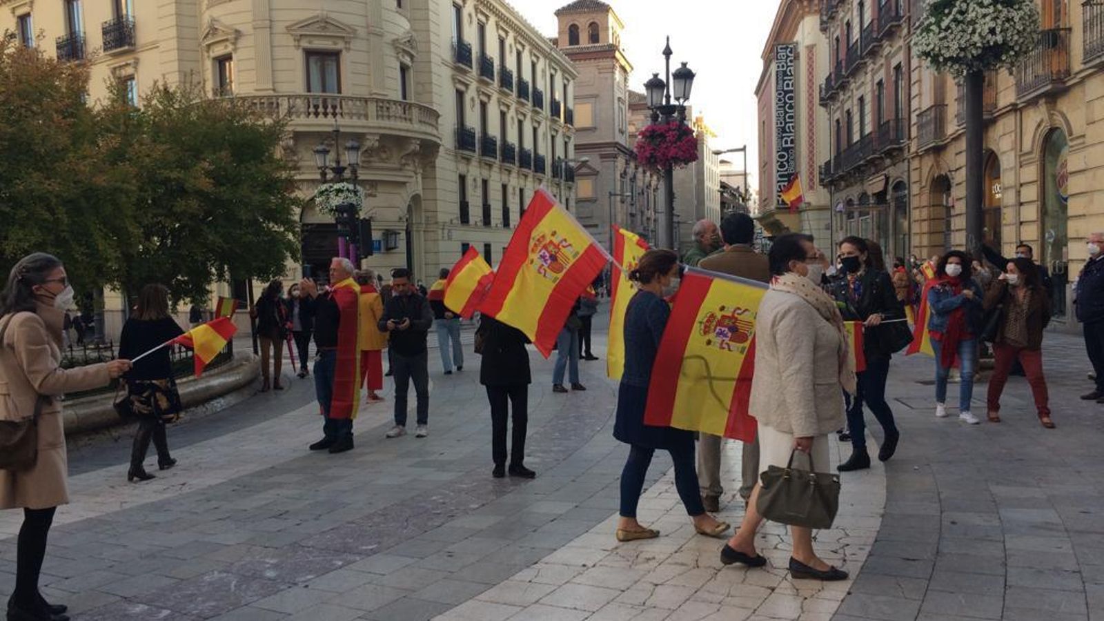 Algunos manifestantes en Granada